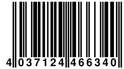 4 037124 466340