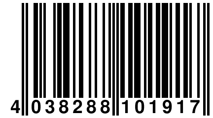 4 038288 101917