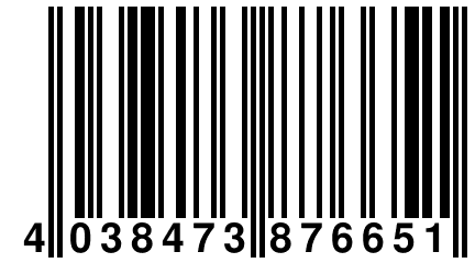 4 038473 876651