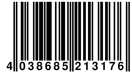 4 038685 213176