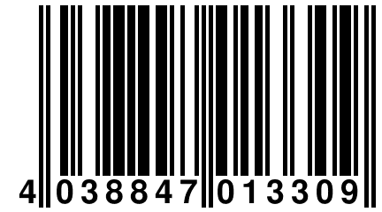 4 038847 013309