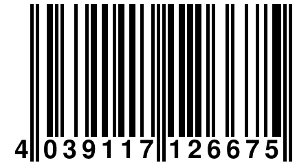 4 039117 126675