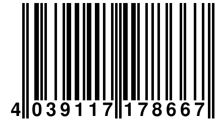 4 039117 178667