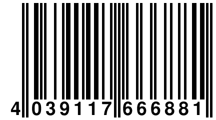 4 039117 666881