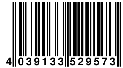 4 039133 529573