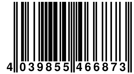 4 039855 466873