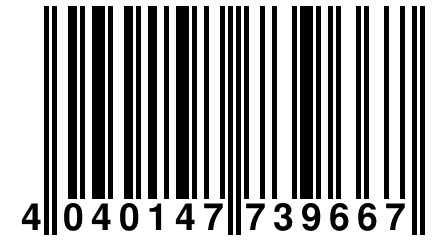 4 040147 739667