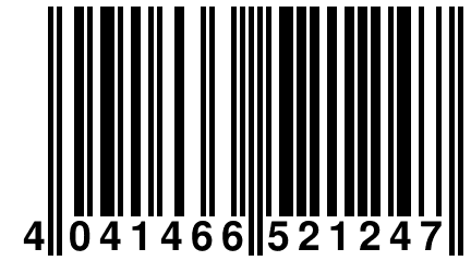 4 041466 521247