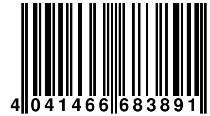 4 041466 683891