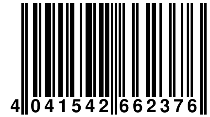 4 041542 662376