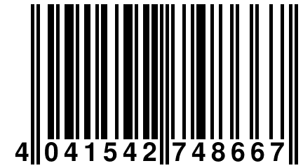 4 041542 748667