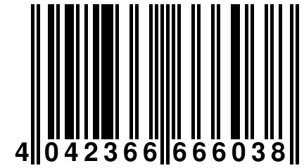 4 042366 666038