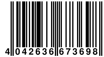 4 042636 673698