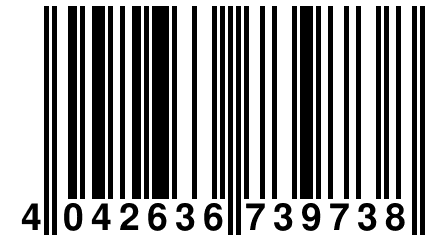 4 042636 739738