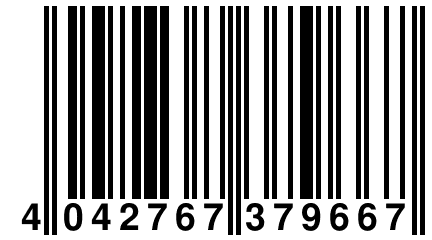 4 042767 379667