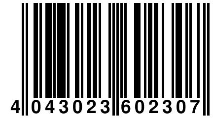 4 043023 602307