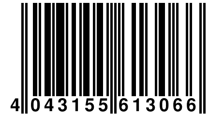 4 043155 613066