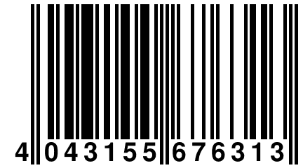 4 043155 676313