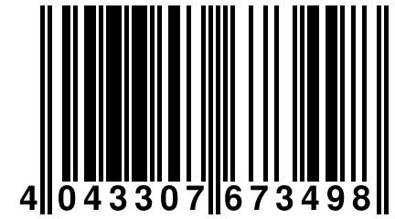 4 043307 673498