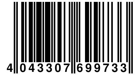 4 043307 699733