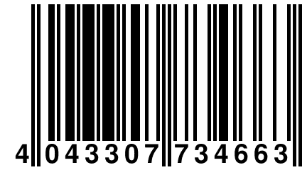 4 043307 734663