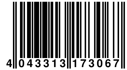 4 043313 173067