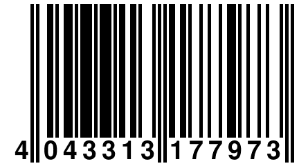 4 043313 177973