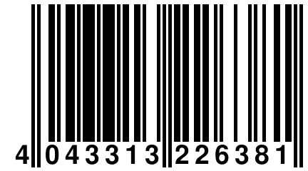 4 043313 226381