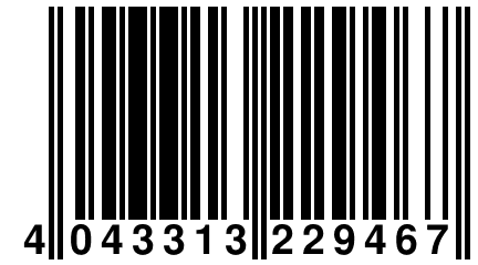 4 043313 229467