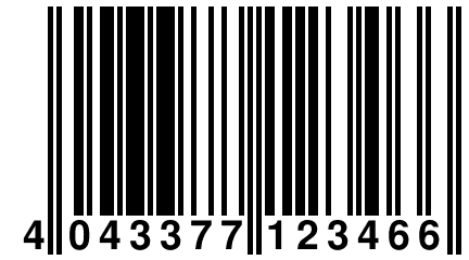 4 043377 123466