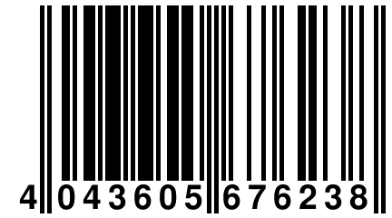 4 043605 676238