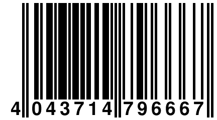 4 043714 796667