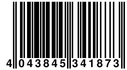 4 043845 341873