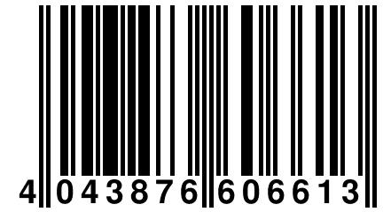 4 043876 606613