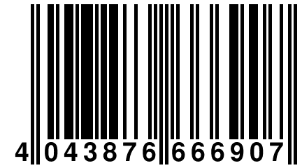 4 043876 666907