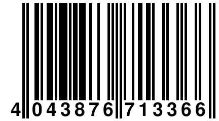 4 043876 713366