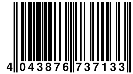 4 043876 737133