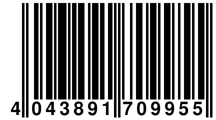 4 043891 709955