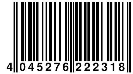 4 045276 222318