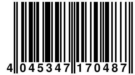 4 045347 170487