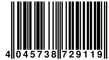 4 045738 729119