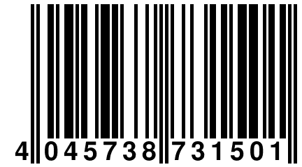 4 045738 731501