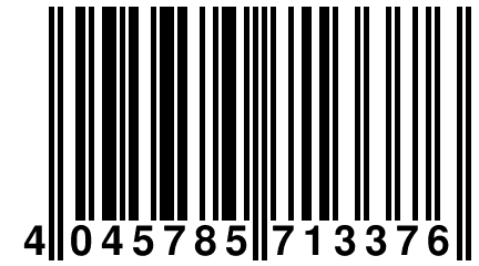 4 045785 713376