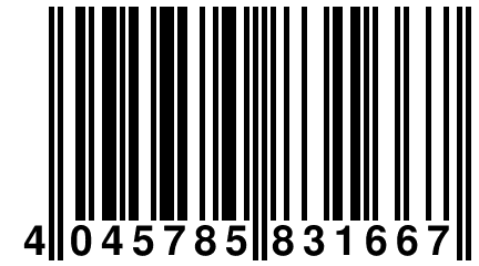 4 045785 831667