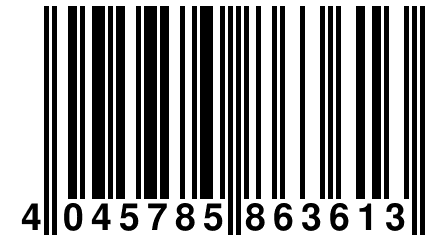 4 045785 863613