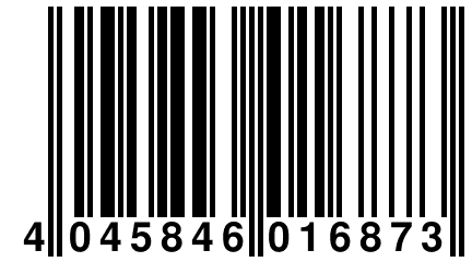 4 045846 016873