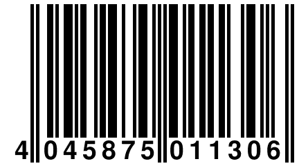 4 045875 011306