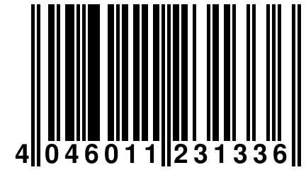 4 046011 231336