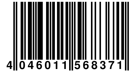 4 046011 568371