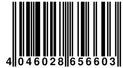 4 046028 656603